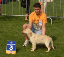 West-vlaamse 2006